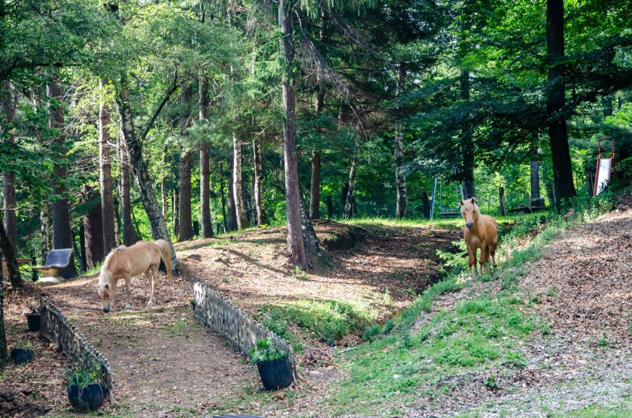 Bellosta Family Country Club Mb Alpe Moiana Armeno Bagian luar foto